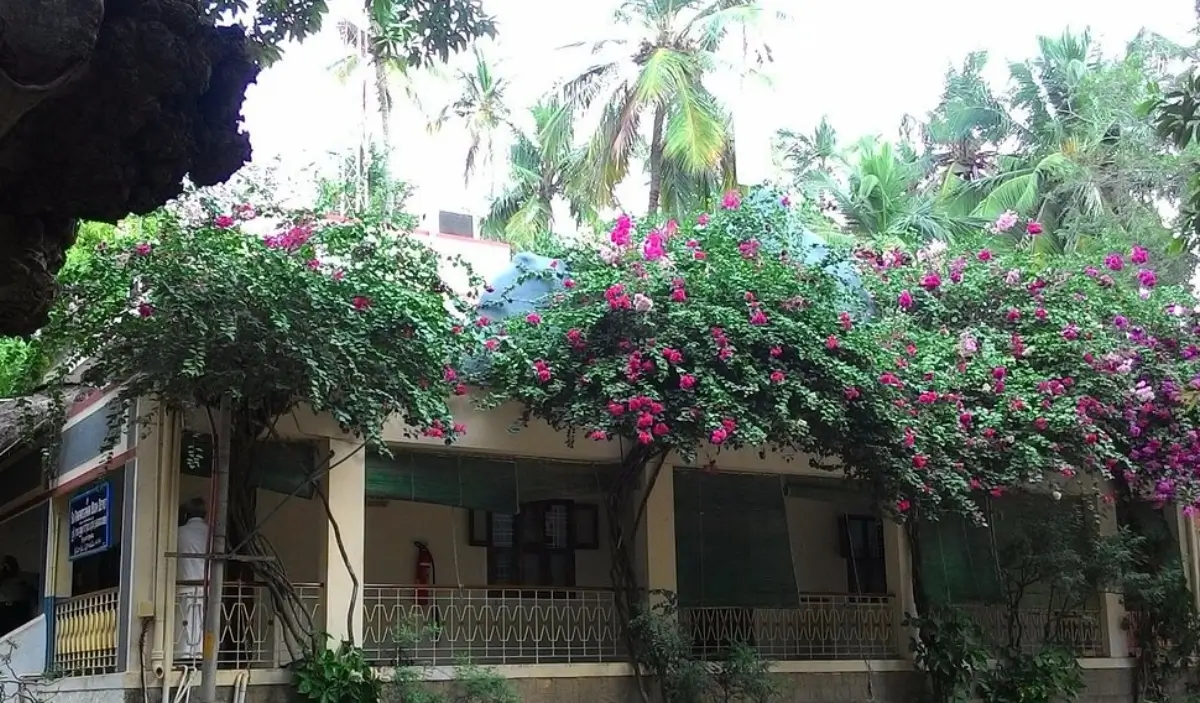 Sri Ramana Ashram