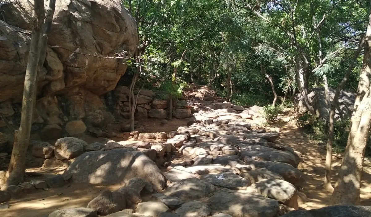Virupaksha Cave & Skandashramam